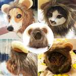 Haustier Kopfbedeckung Perückenkappe