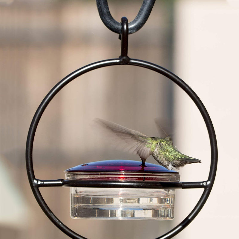 Einfacher Kolibri-Wasserspender aus Metall