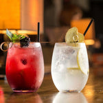 Hirundo Formen zur Herstellung von Eisball