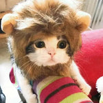 Haustier Kopfbedeckung Perückenkappe