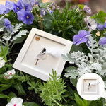 Meer Glas Kunst Sympathie Geschenk