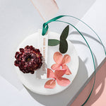 Wachs-Lufterfrischer zum Aufhängen